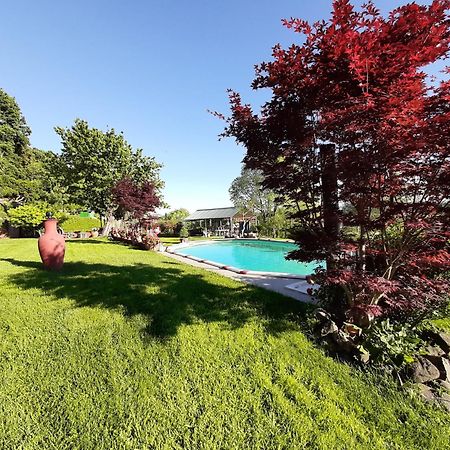 La Cupoletta -Holiday House - Gilda Trevignano Romano Zewnętrze zdjęcie